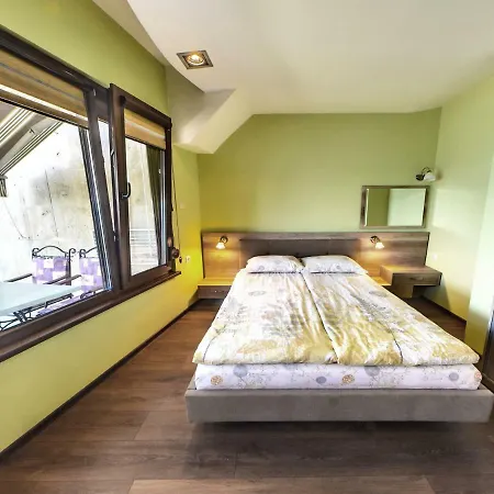 Continental 2* Kiten